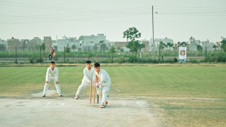 Experience the Thrill of Fantasy Cricket at Harrison Arena!